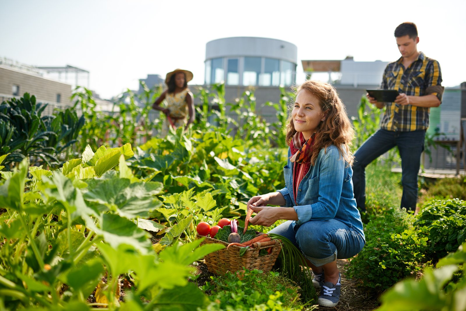 Plant the seeds of change: transform our world for the better